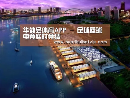 案例展示八