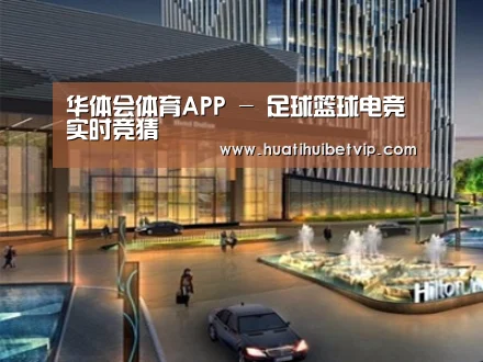 案例展示二