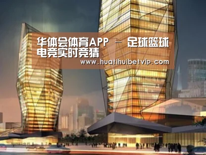 案例展示三
