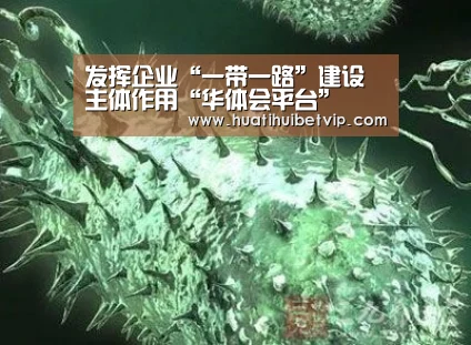 发挥企业“一带一路”建设主体作用“华体会平台”(图1) 华体会体育
