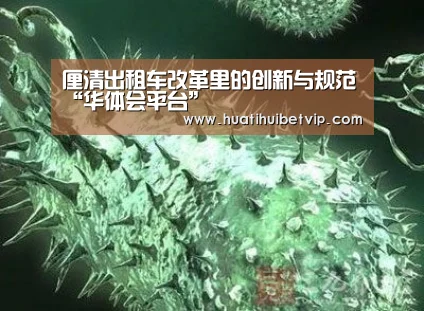 厘清出租车改革里的创新与规范“华体会平台”(图2) 华体会APP