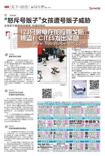 123只象龟在加拉帕戈斯被盗!CITES发出紧急声明【华体会竞猜】(图1) 华体会平台