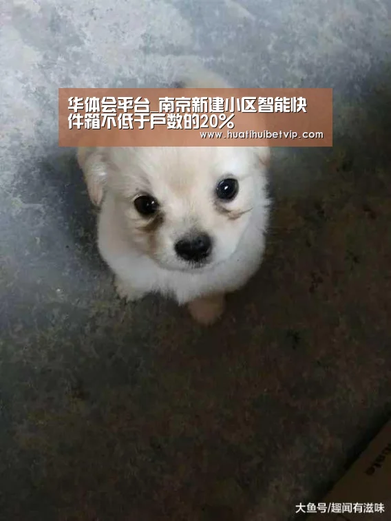 华体会平台_南京新建小区智能快件箱不低于户数的20%(图2) 华体会APP