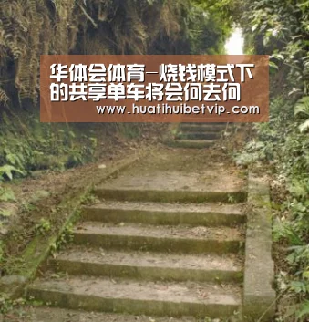 华体会体育-烧钱模式下的共享单车将会何去何从(图1) 华体会APP