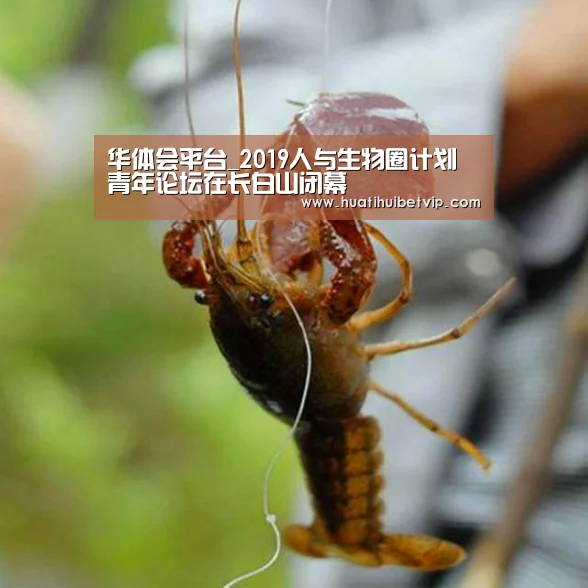 华体会平台